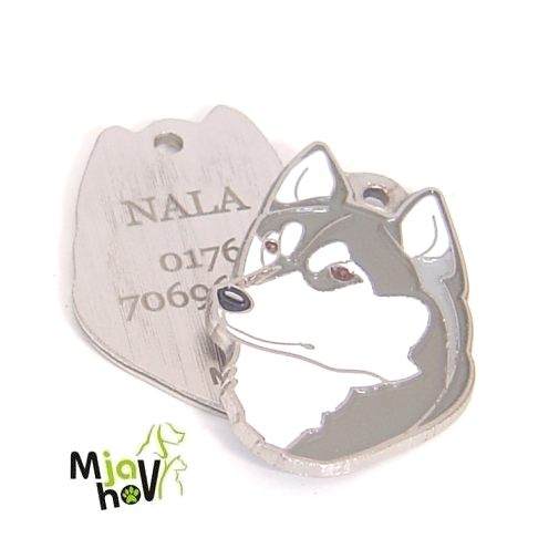 adresówki dla psów-husky-syberyjski-grawerowane.jpg adresówki dla psów, grawerowane adresówki dla psów, adresówki dla psów rasowych MjavHov - Adresówki dla psów online